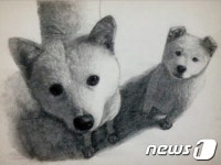 [펫스쿨] 6번째 감각이 발달한 다온이 ①