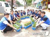 전주 효자3동, 명필서점~성산타운 명소화거리 조성