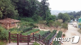 함평군, 기산초에 명상숲 조성…390주 식재