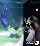 한화 아쿠아플라넷63 리뉴얼 오픈