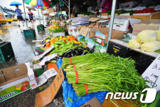 내리는 비에 출렁이는 채솟값