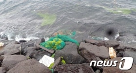 제주서 멸종위기종 붉은바다거북 사체 발견