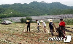 부산대 학생들, 보성군 득량면서 농촌봉사활동