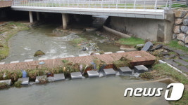 420억 투입 충주천 생태복원사업 장마로 ‘아수라장’
