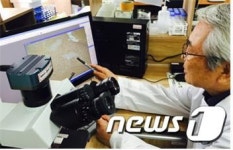 [강원TP 벤처기업 탐방 1](주)머쉬메드, (주)비에스엘