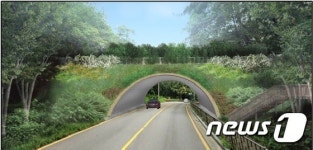 불도저 개발에 끊긴 서울 녹지축 4곳 복원