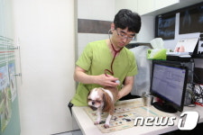 주민센터서 반려동물 건강검진…관악구 찾아가는 동물병원 운영