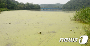 농업용수라는 이유로 관리 되지 않는 대전 방동저수지