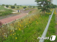 부산국토청 진영관리사무소, 휴가철 낙동강변 정비