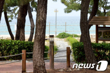 ‘솔향이 가득’…강릉 연곡해변 캠핑장 15일 개장