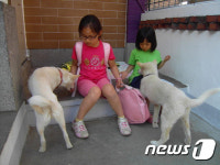 [뚱아저씨의 동행] 나를 절망에서 일으켜준 장애견 흰순이②