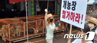 개농장 철거하라