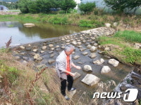 고창읍 월암천서 물고기 수 백마리 폐사