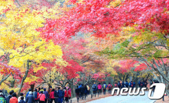 내장산 생태공원 체육시설…탐방객에 무료 개방