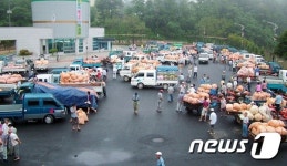 괴산군 홍고추시장 8월 3일 개장… 전년 거래량 64t