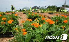 농촌은 우리가 가꿔요