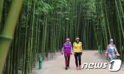 십리대숲 피서