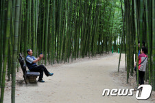 울산 십리대숲에서 무더위 식히세요