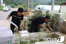 강원우정청, 지역 농가와 손잡고 농산물 판매 앞장