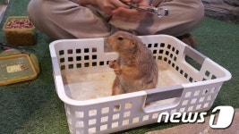 [르포] 동물의 고통 체험하는 롯데월드 생태 체험관