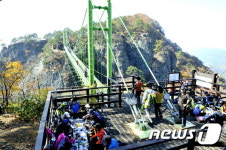 [단신]청량산 하늘다리 8월30일까지 통제