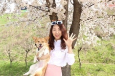 [점례야 놀자!] 강아지 수제간식 못난이 3형제의 닭가슴살말이