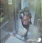 ‘산양삼이 좋아’…산양삼만 훔친 50대 남녀 3명 검거