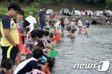 다슬기도 잡고 맛도 보고 순천 주암다슬기 축제