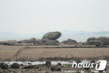 보령시, 8월말까지 공룡 발자국 화석체험 피서지 운영