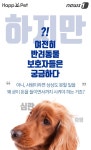 [펫카드] 반려동물 중성화수술, 꼭 해야 할까
