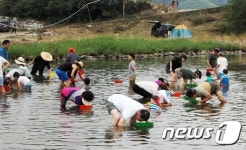 “올갱이도 잡고 더위고 이기고”… 올갱이 축제 성료
