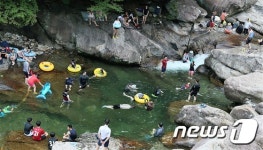 물맑고 울창한 원시림의 지리산 피아골 계곡