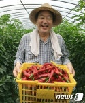 벌교 찾은 김무성