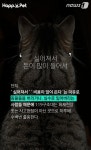 [펫카드]119구조대 아저씨, 이젠 우리가 할게요!