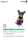 [펫카드]119구조대 아저씨, 이젠 우리가 할게요!