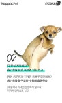 [펫카드]119구조대 아저씨, 이젠 우리가 할게요!
