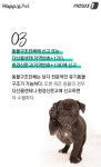 [펫카드]119구조대 아저씨, 이젠 우리가 할게요!
