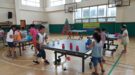 대한스포츠스태킹협회, 스포츠스태킹 강습 및 대회 개최