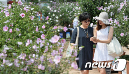 함께 무궁화길 걸어요