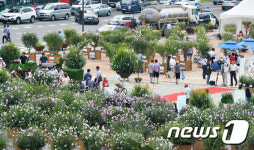 화성행궁에 무궁화가