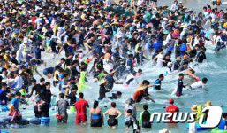 '오징어 전쟁'