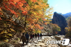 인제군 사회단체 양양군 대청봉면 추진은 어불성설