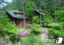 ‘시원한 힐링’…태백고원자연휴양림 피서 인파 몰려