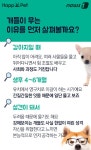 [펫카드] 개들의 습격?…개 물림 사고 완벽해부