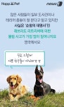 [펫카드] 개들의 습격?…개 물림 사고 완벽해부