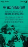 [펫카드] 개들의 습격?…개 물림 사고 완벽해부