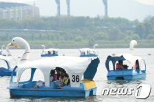 한강에서 즐기는 오리보트