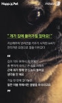 [펫카드] 개들이 좋아하는 집은 따로 있다?