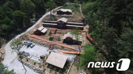 대관령 치유의 숲 오세요...19일 개장