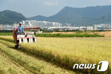 김해시농업기술센터, 조기재배 벼 올해 첫 수확
